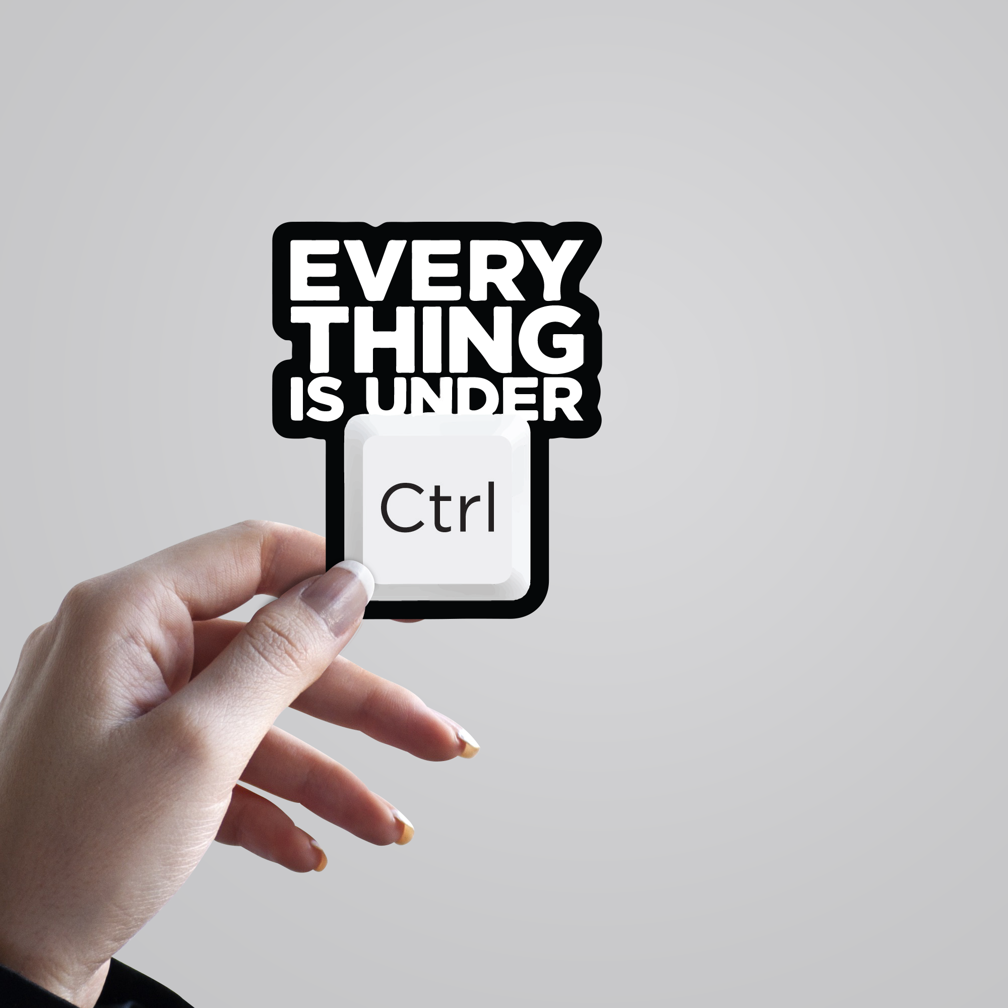 Everything is under Ctrl Stickers: Organize and Amuse with Playful Decals